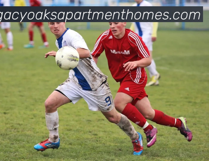 mksport体育官网入口服务体系